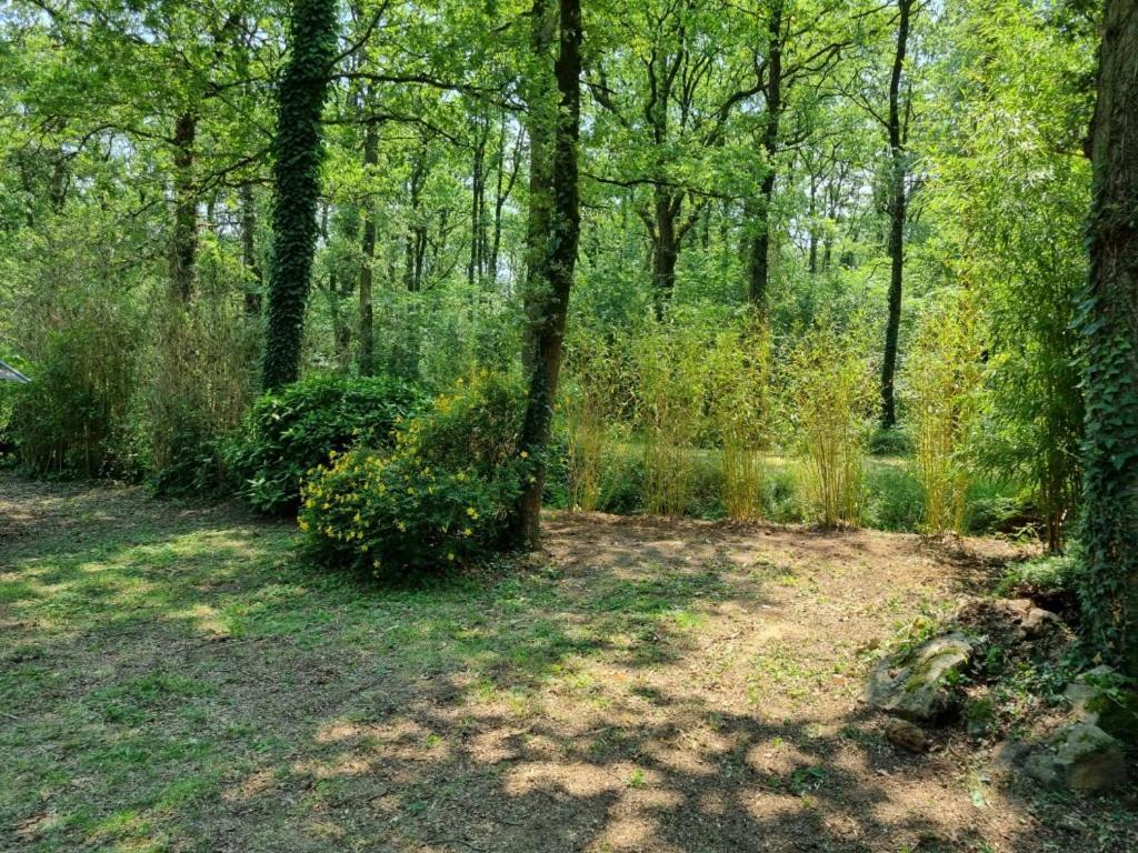 Les Chalets De Saumur, Piscine & Parc Boise, 100M Du Cadrenoir Exteriör bild