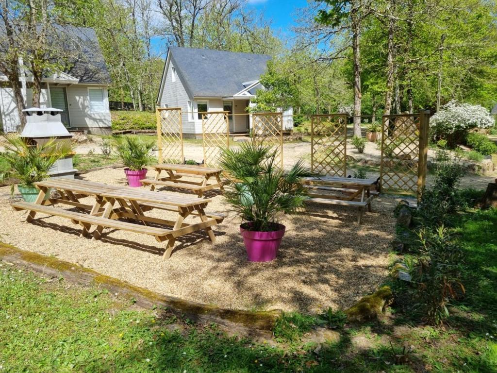 Les Chalets De Saumur, Piscine & Parc Boise, 100M Du Cadrenoir Exteriör bild