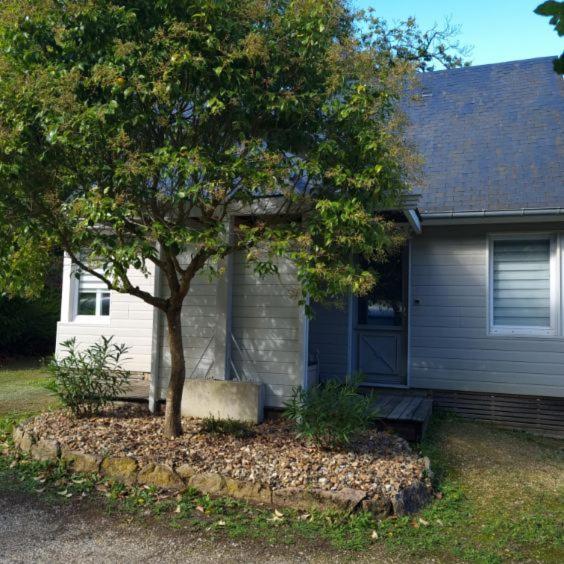 Les Chalets De Saumur, Piscine & Parc Boise, 100M Du Cadrenoir Exteriör bild